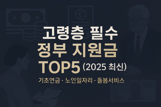 고령층 필수 정부 지원금