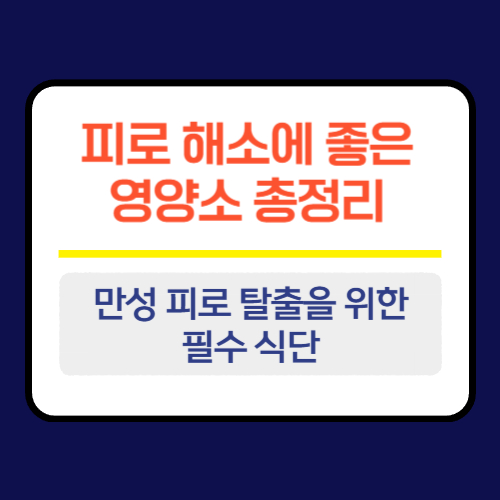 피로 해소에 좋은 영양소 총정리