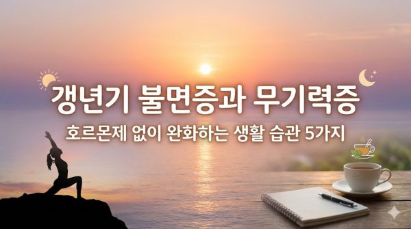 갱년기 불면증과 무기력증