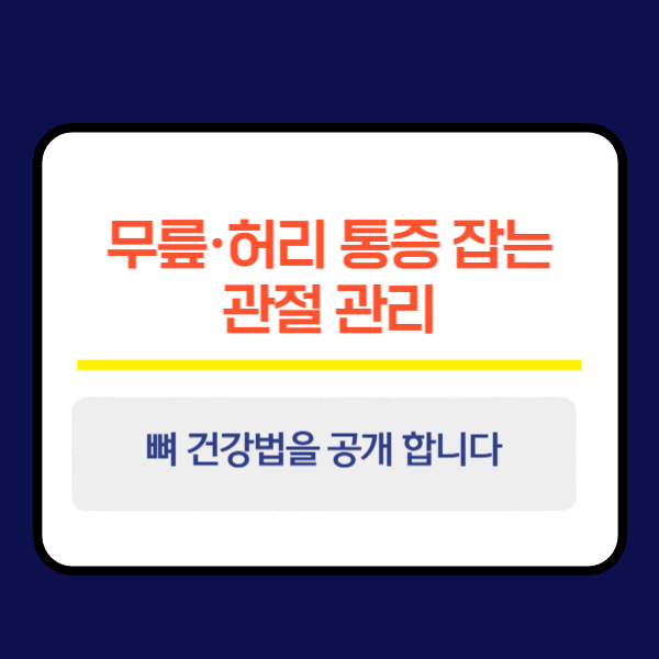 무릎·허리 통증 잡는 관절 관리와 뼈 건강법